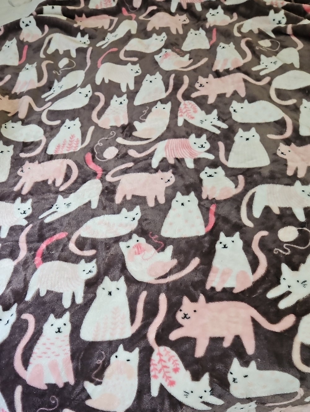 Oversized Plush Cat Throw Blanket